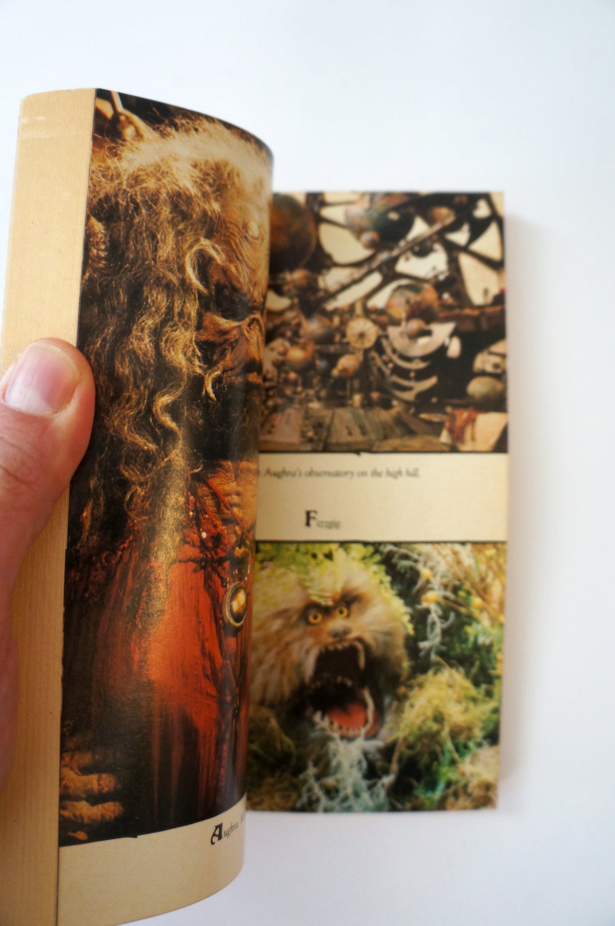 The Dark Crystal by A.C.H Smith