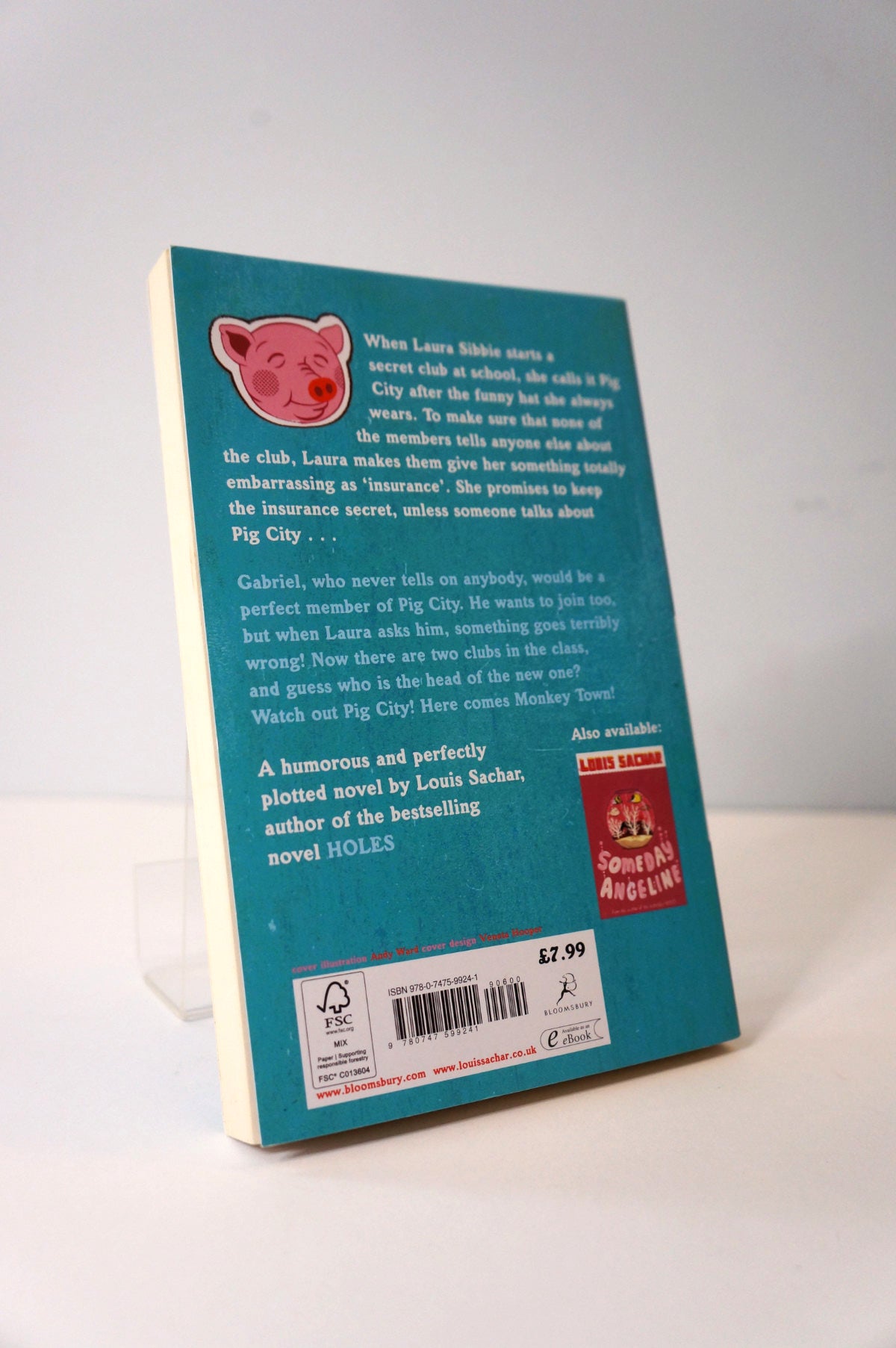 Pig City by Louis Sachar UK Edition