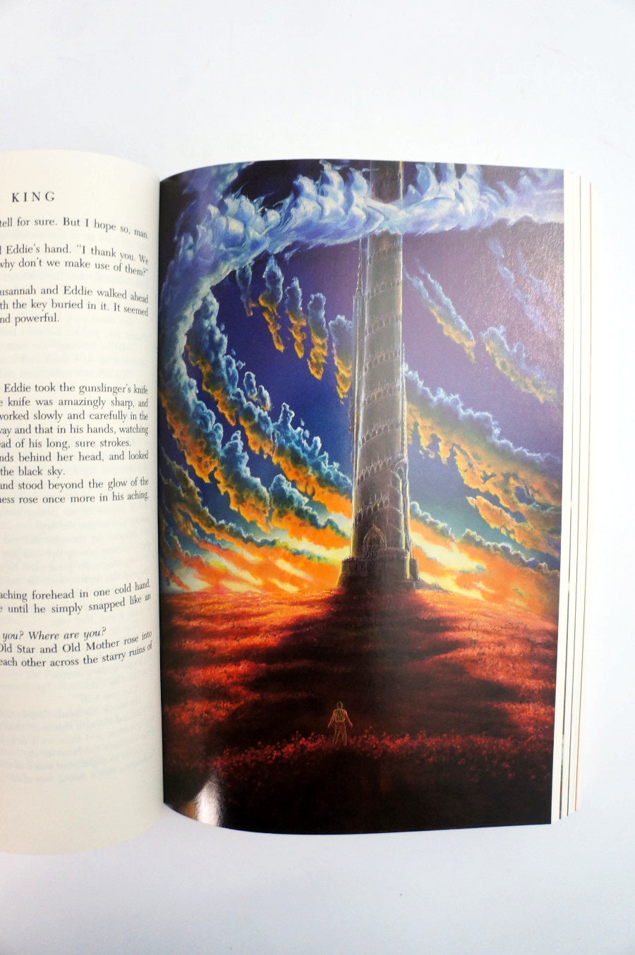 The Wastelands, the Dark Tower Book 3 by Stephen King