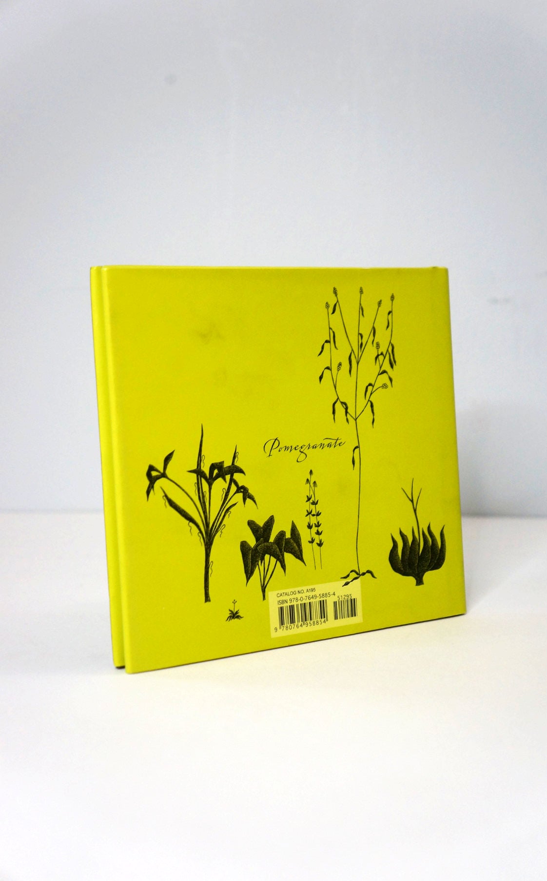 The Evil Garden by Edward Gorey back cover