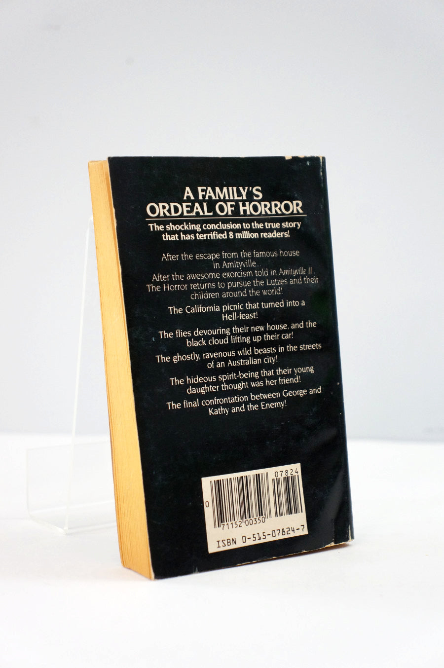 Amityville the Final Chapter back cover