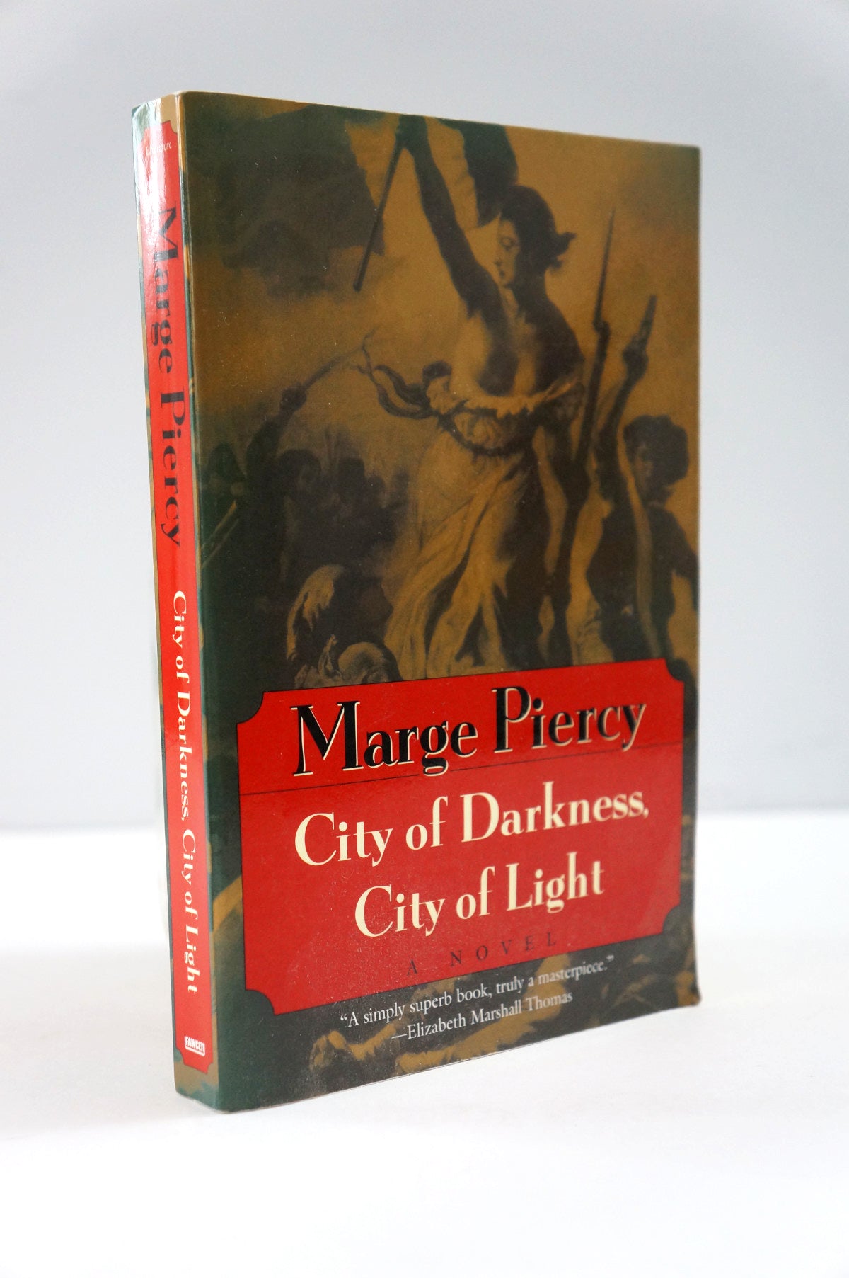 A hardcover book of Marge Piercy's 'City of Darkness, City of Light' standing upright on a white surface against a light gray background.