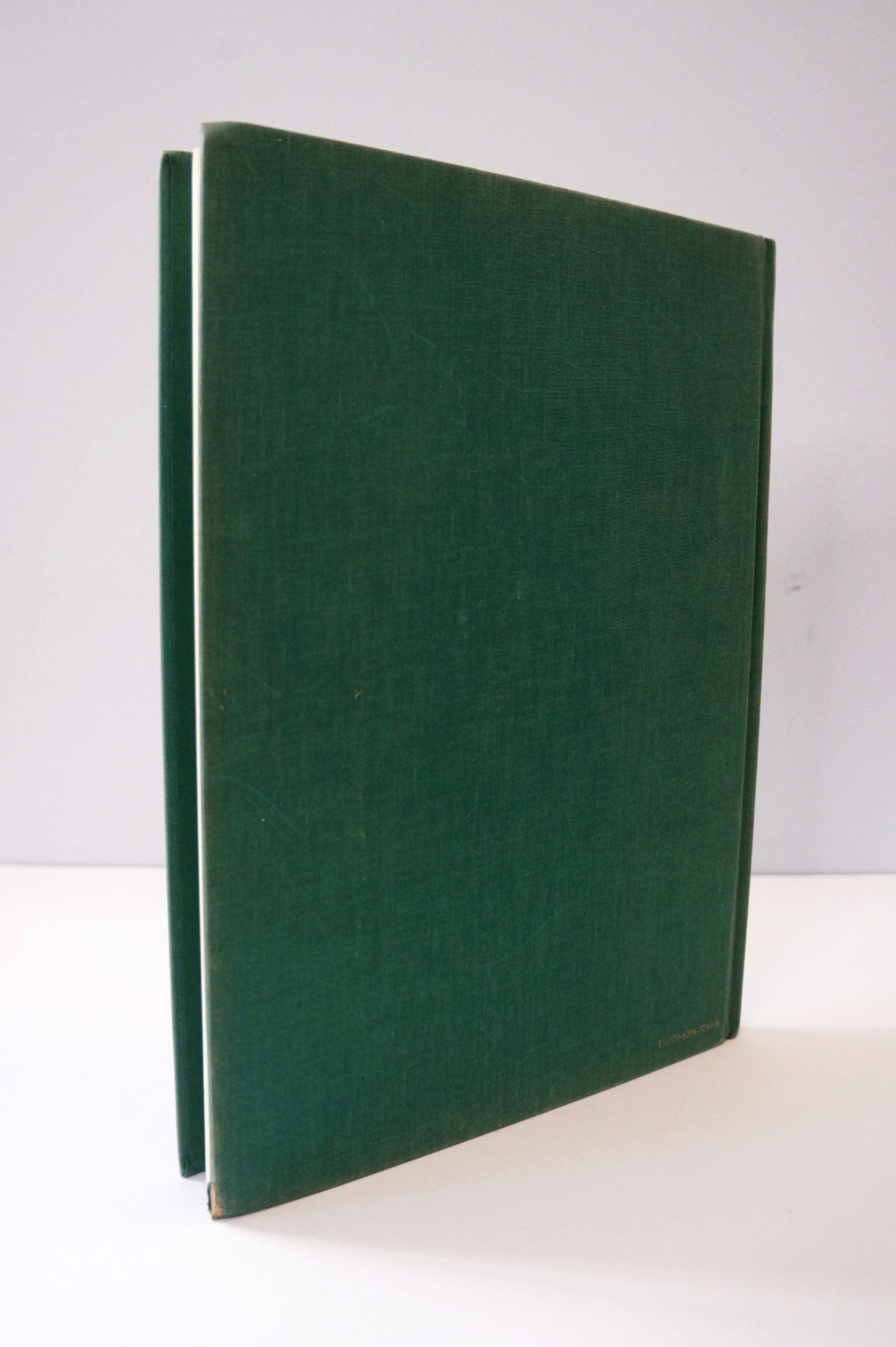 The Enchanted World: Seekers and Saviors Hardcover