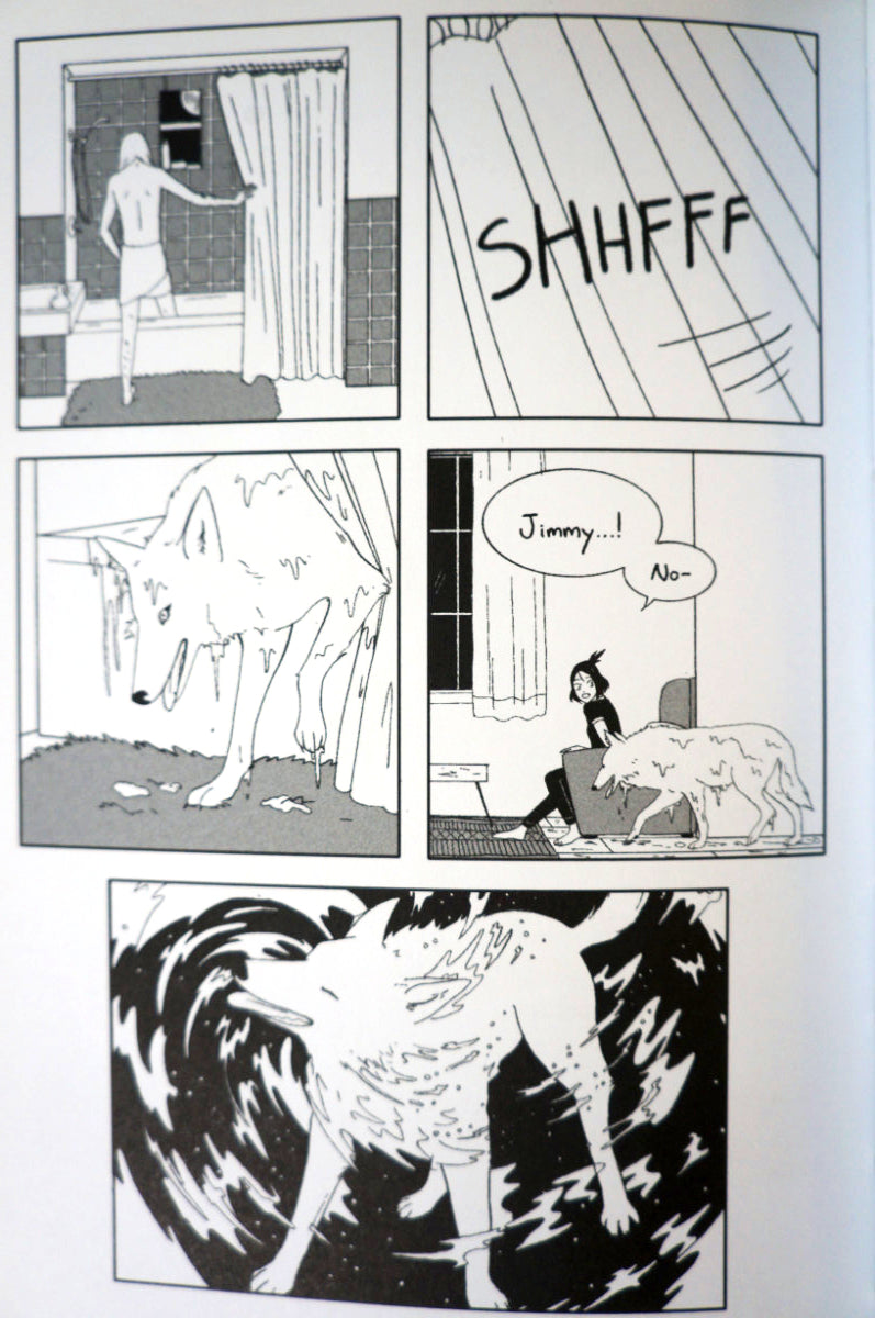 Fangs by Sarah Andersen Hardcover