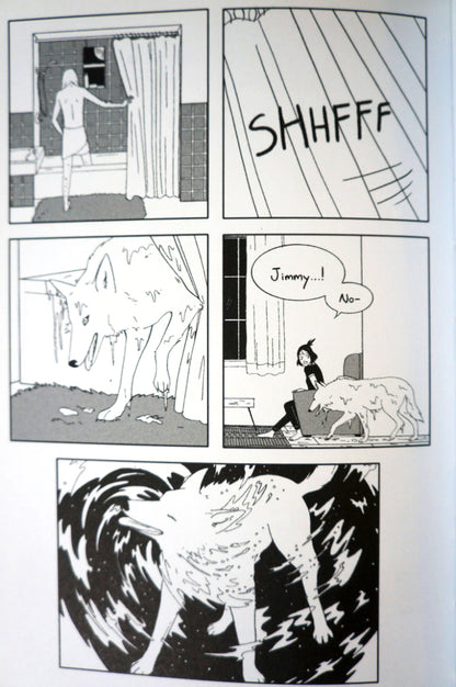 Fangs by Sarah Andersen Hardcover