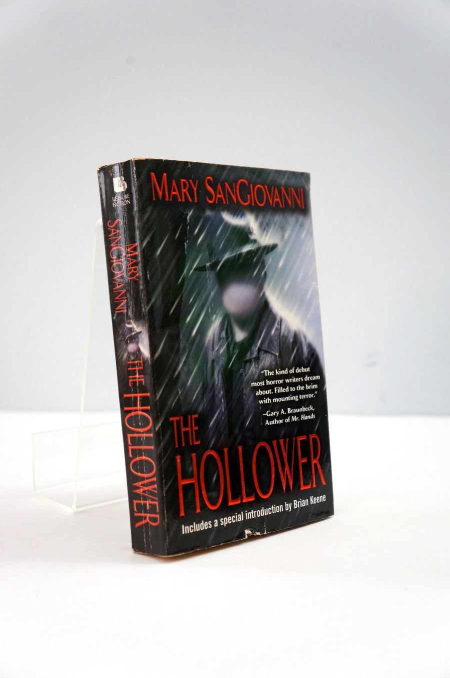 Book titled 'The Hollower' by Mary Sanciovan on a white background
