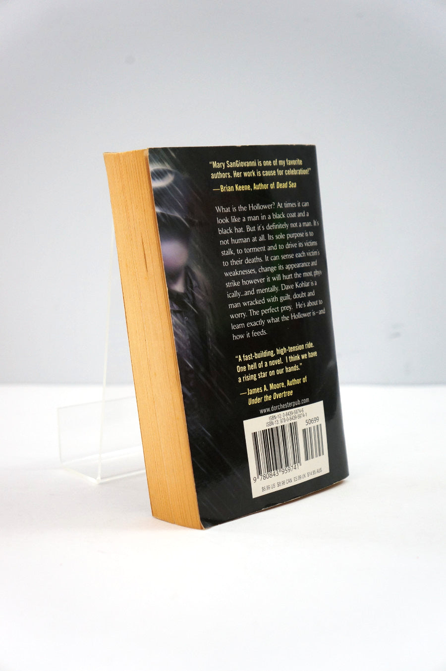 back cover of the Hollower by Mary SanGiovanni