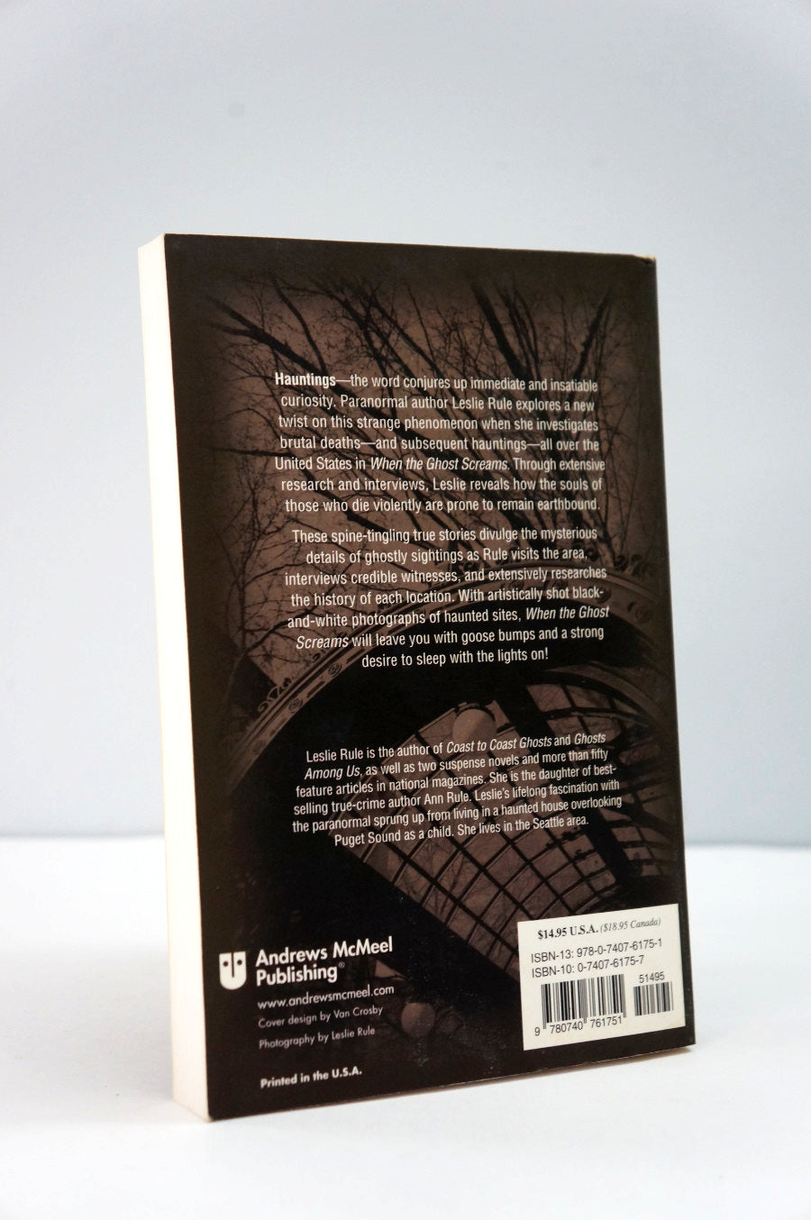 back cover of When the Ghosts Screams by Leslie Rule